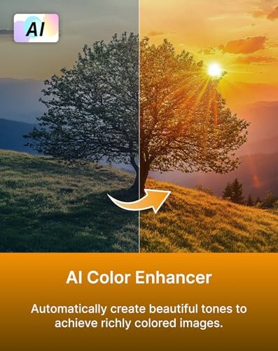 Image showing AI color enhancement with a split view of a tree landscape.