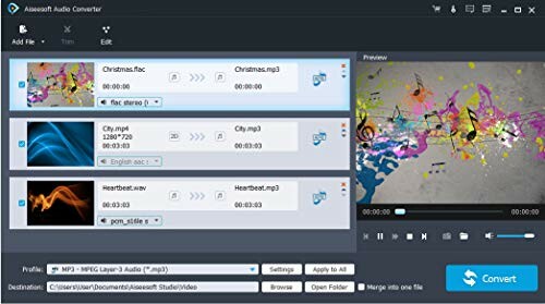 Audio converter software interface with file conversion options and preview.