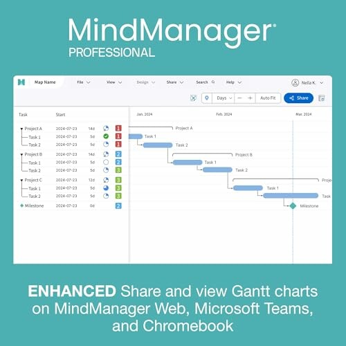MindManager Professional Gantt chart interface.